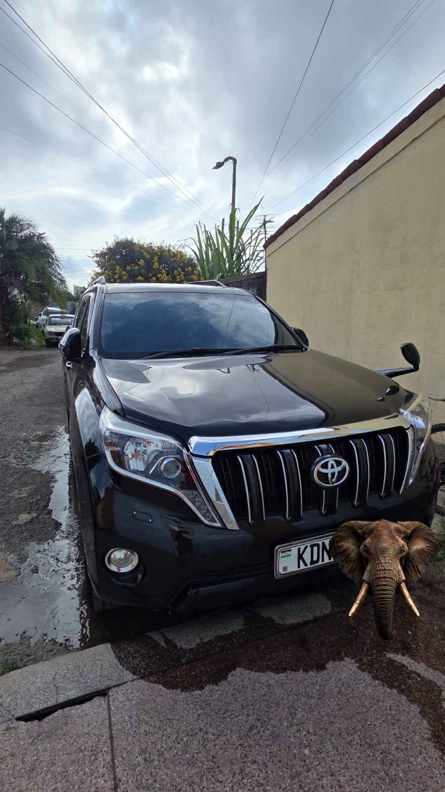 Toyota Prado